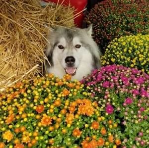 Meet your Posher, Gary